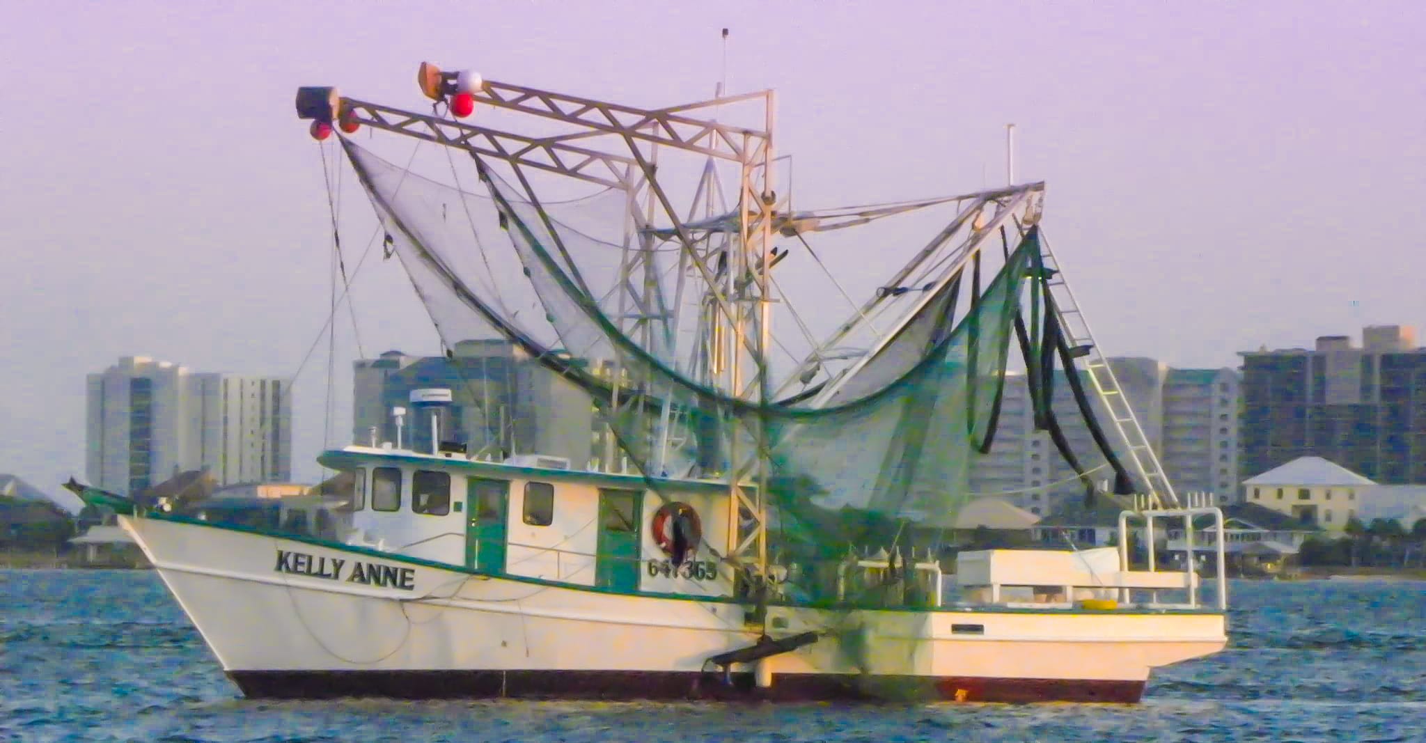 Our 55' Shrimp Boat the Kelly Anne. We have been providing fresh off the boat shrimp on the Gulf Coast for over 30 years!