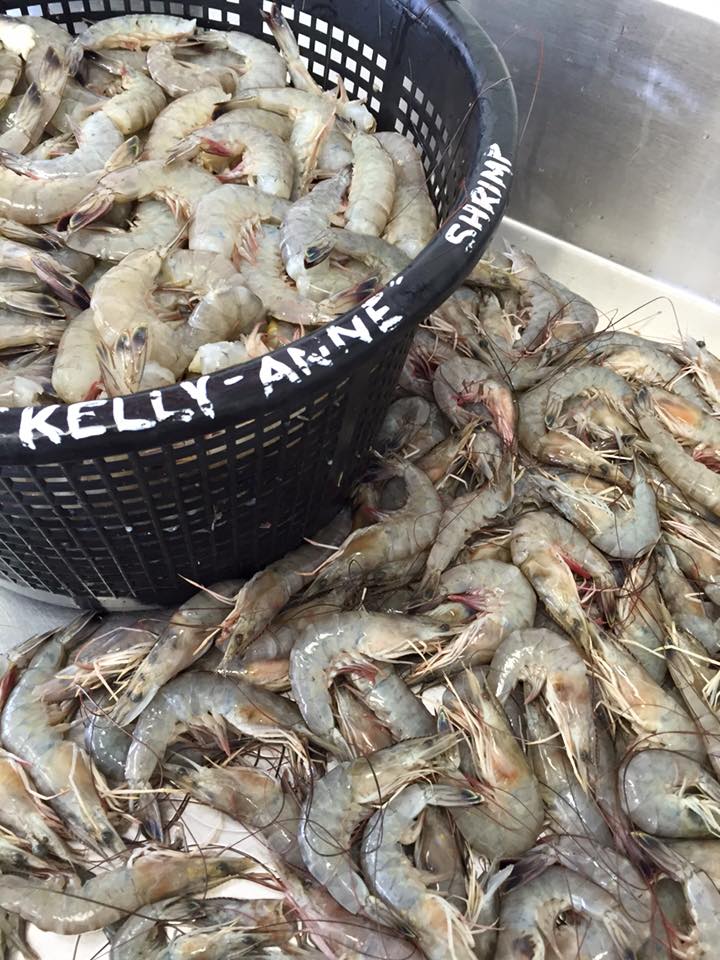 Fresh off the boat shrimp. Comes in a variety of sizes and is perfect for frying, boiling, grilling and more!